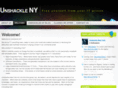 unshacklenewyork.com