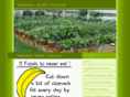 vegetablegardenplanting.net