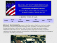 brickleyenv.com