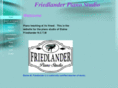 friedlanderpianostudio.com