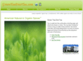 greenteadiettea.com