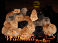 wallhalapersians.com