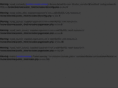 directmailking.com