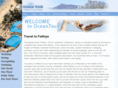 fethiyehotelsguide.com