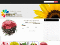 zyhuahui.com