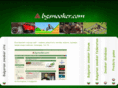 bgsnooker.com