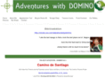 dominoireland.com