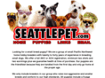 seattlepet.com