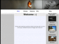 alfen.org