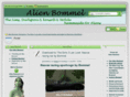 alien-bommel.com