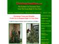 christmastreesnow.com