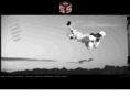 sportstunts.com
