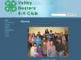 valleybusters4h.org