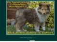 blueoceandreams-collies.de
