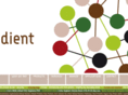 theingredientscompany.com