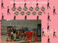 williamstonvolleyball.org