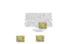 fractalecks.com
