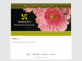 kmazing.com