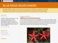 blueridgewildflowers.com