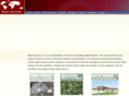 bsiautomation.com