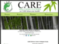 carewellnesscenter.com