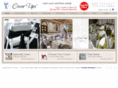 coverupslinens.com