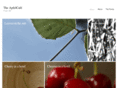 bryn-skibo.com
