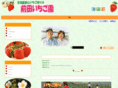 maeda-ichigo.com