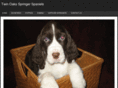 twinoaksspringers.com