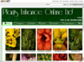 artificialplantsenhance.com