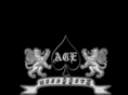 aceaccessory.com