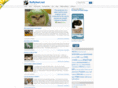 fluffyfeet.net