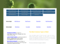 typesofmold.net
