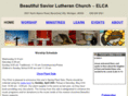 bslcmi.org