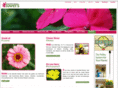 flower.org.in