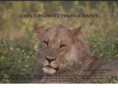 johnlipkowitz.com