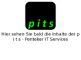 pits-online.net