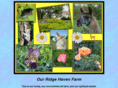 ourridgehaven.com