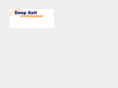 deepsalt.com