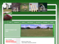 dinglecricket.com