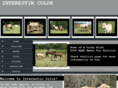 interestincolor.com