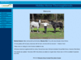 hobbyhorsethoroughbreds.com