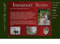 immanuelsteen.com