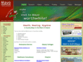 mayohealing.com