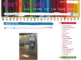 prettysassy.com
