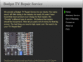 budgettvrepair.com