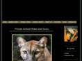 miamiairboattours.com
