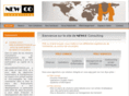 newco-consulting.com