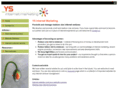 ys-internet-marketing.com