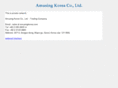 amusingkorea.com